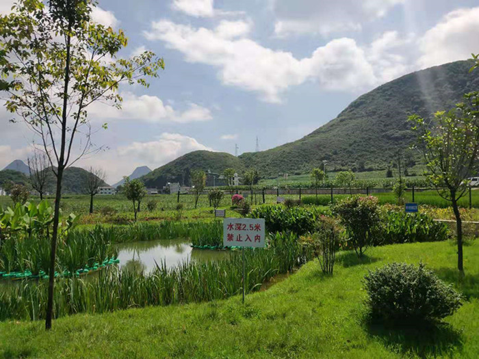 罗平县2016年万峰湖(hú)流域沿河农村环境连片整治项目二标（以德村）